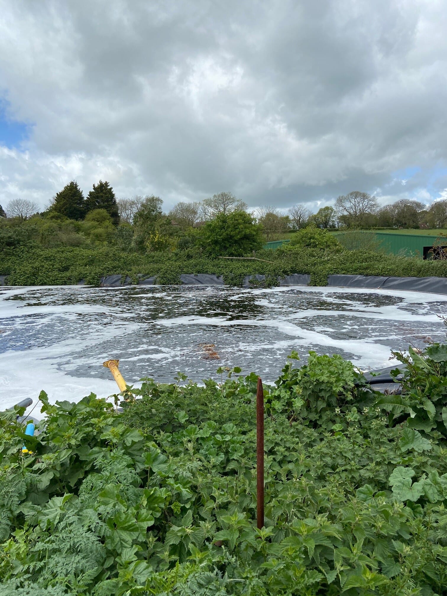 landfill7.jpg?w=257&h=343&scale