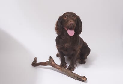 Branch Manager Branch Manager