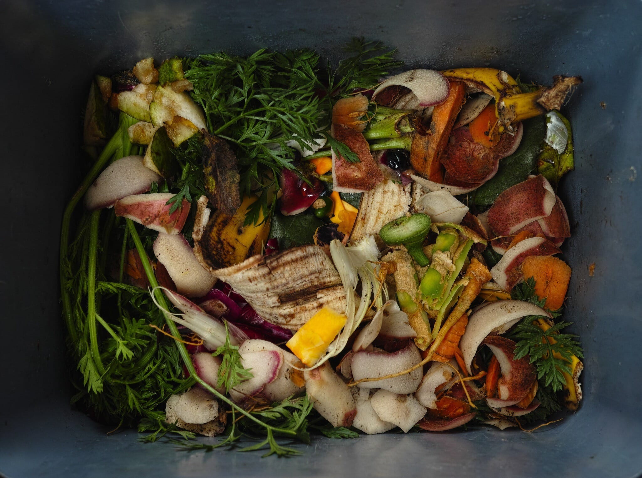 Food-Waste-1 Food-Waste-1