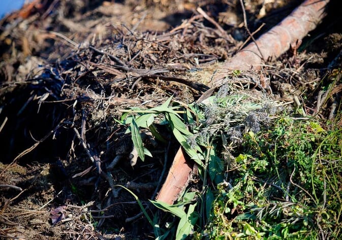 garden-waste.jpg?w=673&h=473&scale garden-waste.jpg?w=673&h=473&scale