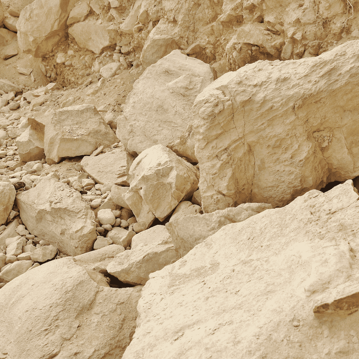 Untitled-design.png?w=343&h=343&scale