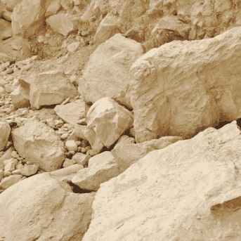 Untitled-design.png?w=343&h=343&scale Untitled-design.png?w=343&h=343&scale