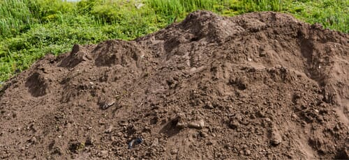 soil.jpg?w=500&h=230&scale soil.jpg?w=500&h=230&scale