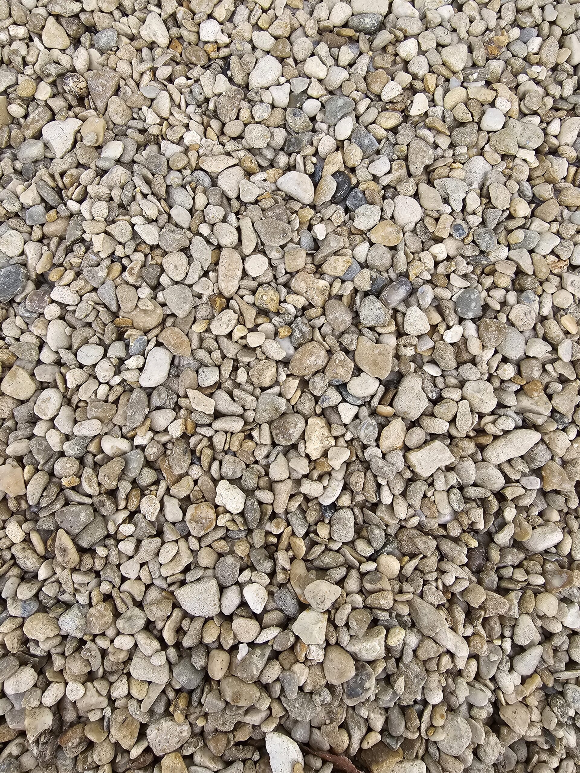 20231128_103726-scaled.jpg?w=257&h=343&scale