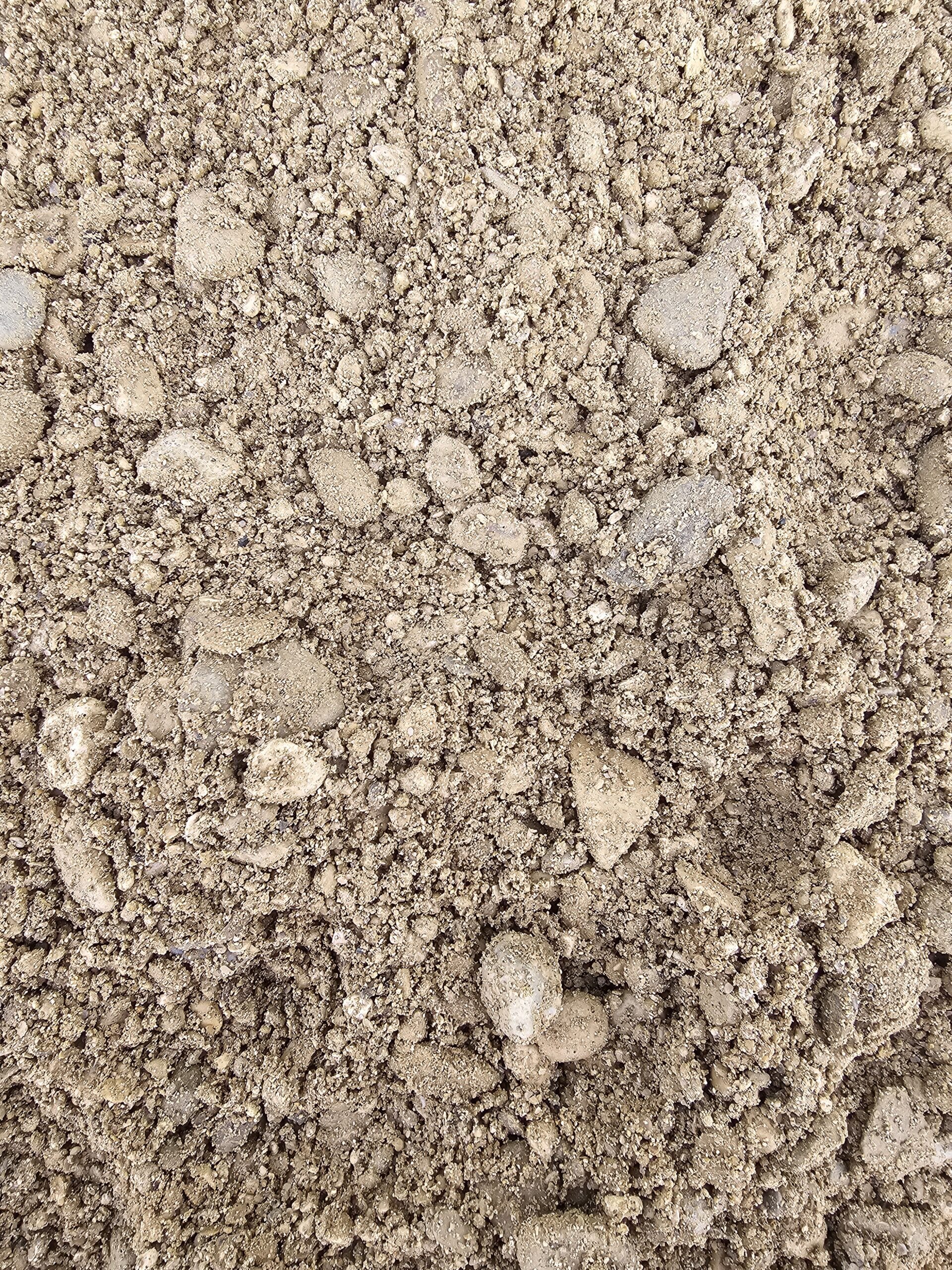 20231128_103730-scaled.jpg?w=338&h=450&scale