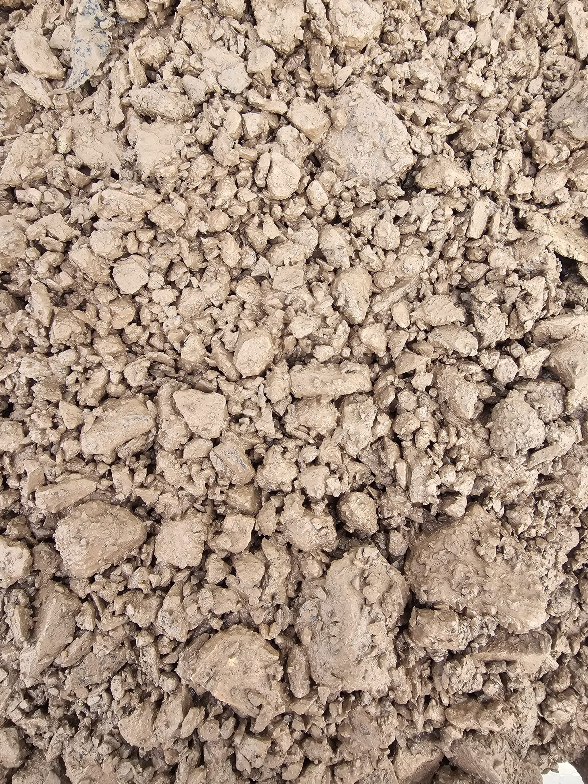 20231128_103735-scaled.jpg?w=257&h=343&scale