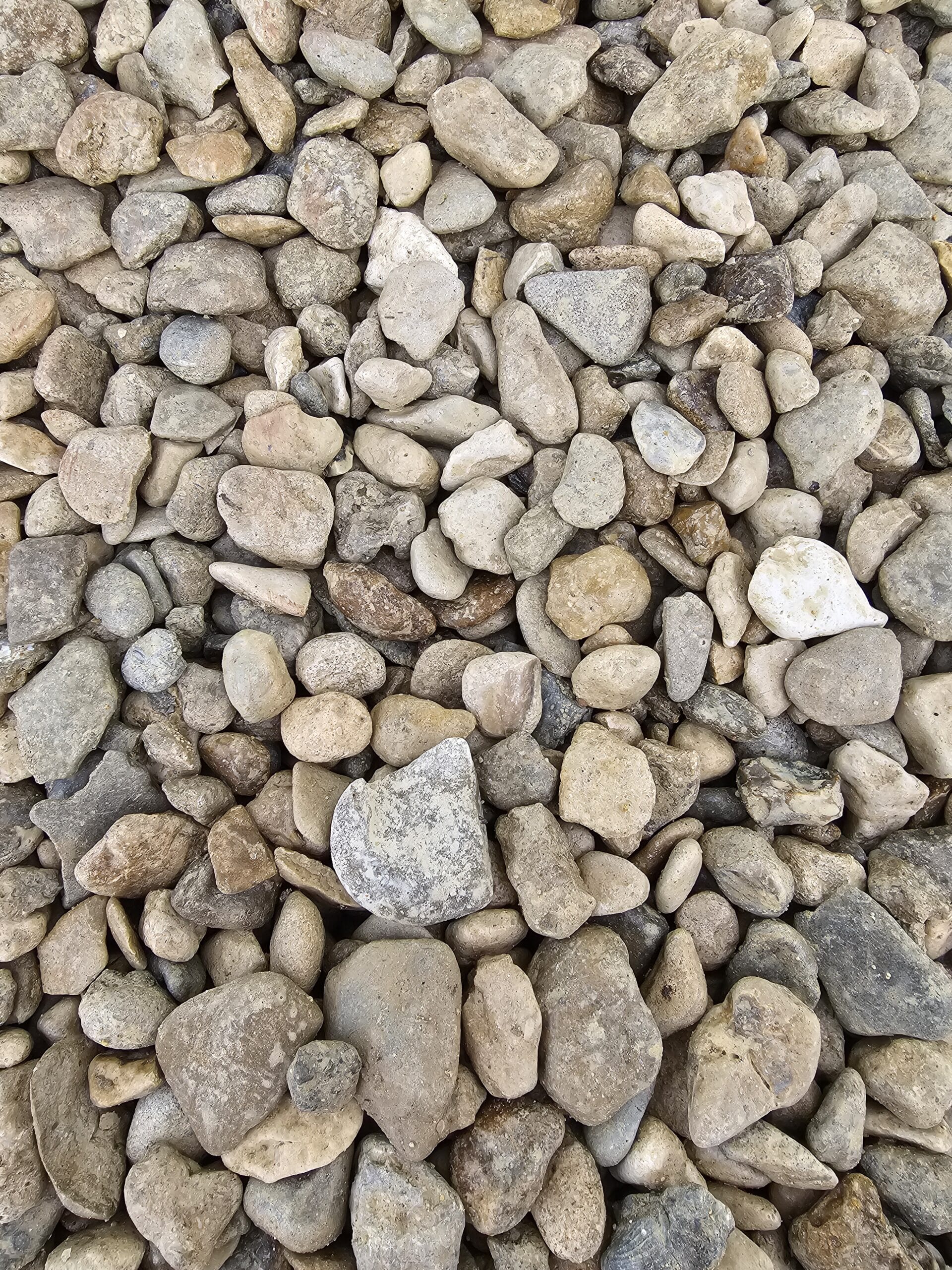 20231128_103738-scaled.jpg?w=257&h=343&scale