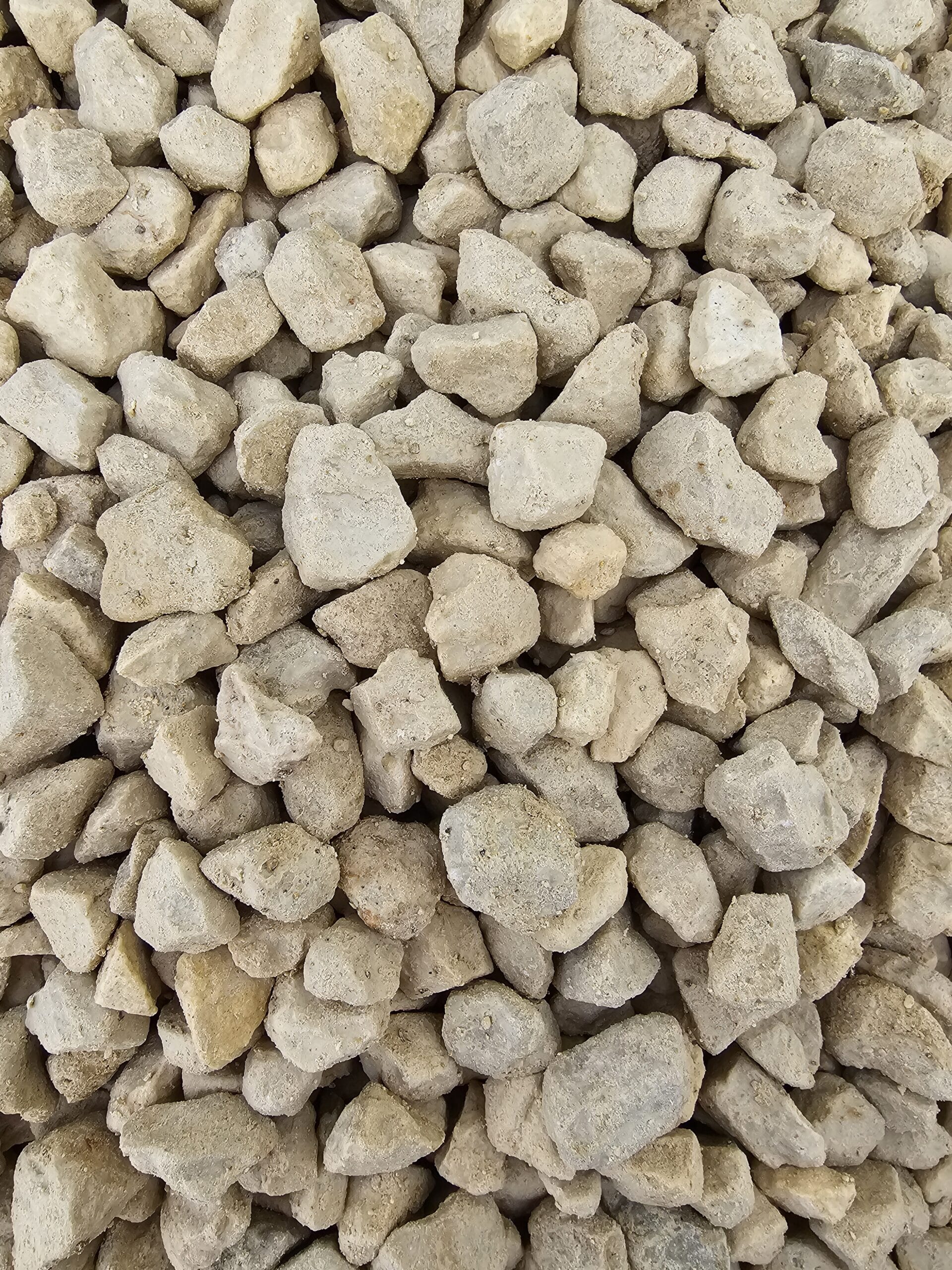 20231128_103742-scaled.jpg?w=257&h=343&scale