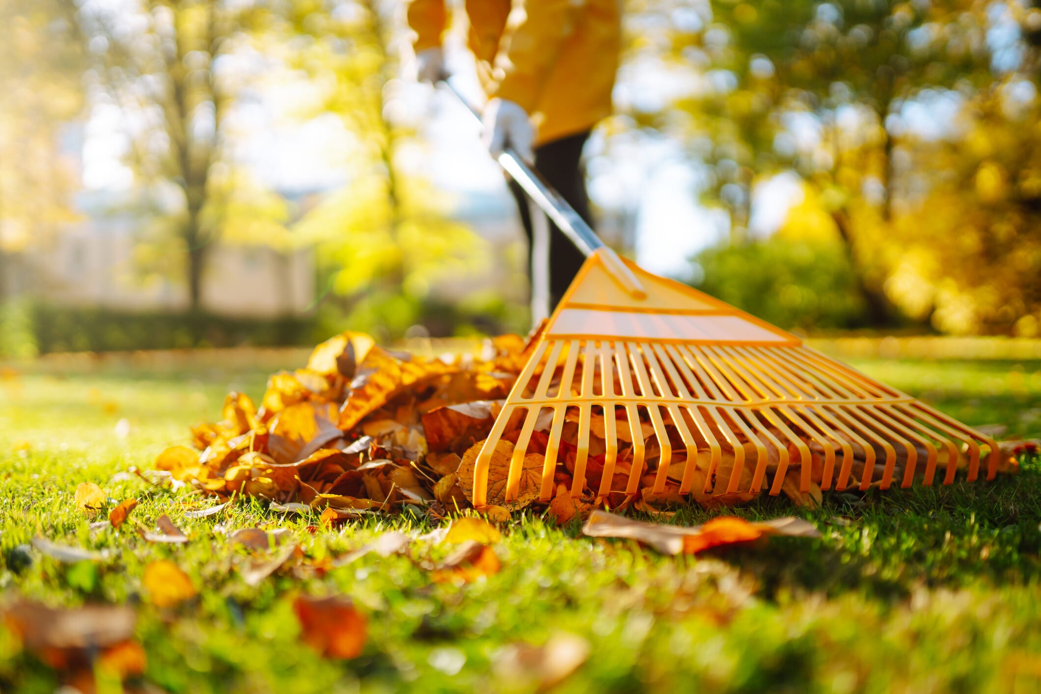 iStock-2162582236 iStock-2162582236